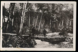 Environs De Tiaret Vue Prise Au Moulin Maréchal Tagdempt Agot - Tiaret