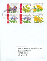 Turnhout 2023 - Krokus - Narzisse - Flockenblume Centaurea - Ringelblume Calendula Heilpflanze - Lettres & Documents