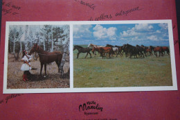 Kazakhstan. Herd At Kazakh Lanscape. Horse Cheval  -  1976 Postcard - Pferde
