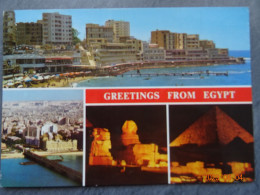 GREETINGS FROM EGYPT - Museos