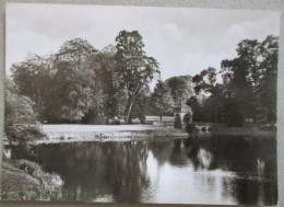 GERMANY DEUTSCHLAND JÜCHEN RHEIN KREIS SCHLOSS CASTLE CARTE POSTALE ANSICHTSKARTE CP AK PC POSTCARD CARD POSTKARTE - Dahlem