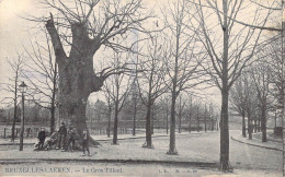 BELGIQUE - Bruxelles-Laeken - Le Gros Tilleul - Carte Postale Ancienne - Other & Unclassified