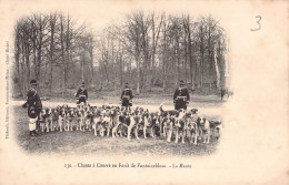 CHASSE - Chasse à Courre En Forêt De FONTAINEBLEAU - La Meute - Carte Postale Ancienne - Jagd