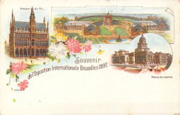 BELGIQUE - Bruxelles - Souvenir De L'Exposition Internationale Bruxelles 1897 - Palais De.. - Carte Postale Ancienne - Wereldtentoonstellingen