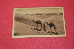 Libya Tripoli Bengasi Au Desert N. 172 Ed. L & L NV - Libyen