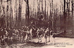 CHASSE - FONTENAILLES - Chasse à Courre En Forêt De Villermoy - Le Départ à L'attaque - Carte Postale Ancienne - Hunting