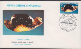 1981. NOUVELLE-CALEDONIE. Fine FDC With Maritime Life Cancelled First Day Of Issue.  (Michel 671) - JF440786 - Lettres & Documents