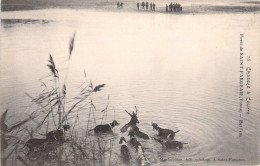 CHASSE - Forêt De SAINT FARGEAU - Chasses à Courre - Bat L'eau - Carte Postale Ancienne - Hunting