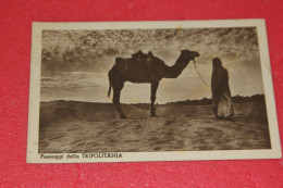 Libya Tripoli Tripolitania Ed. Alì Ben 1940 - Libya