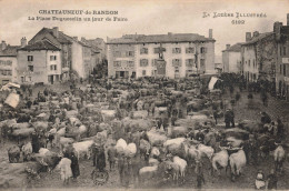 FR-48 LOZÈRE - CHÂTEAUNEUF-de-RANDON - La Place Duguesclin Un Jour De Foire - Chateauneuf De Randon