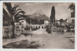 LA VALETTE DU VAR - VAR - DOMAINE DES GUEULES CASSEES - La Valette Du Var