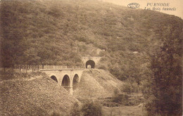 BELGIQUE - Purnode - Les Trois Tunnels - Carte Postale Ancienne - Yvoir