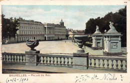 BELGIQUE - BRUXELLES - Palais Du Roi - Editeurs G Blumlein & Cie - Carte Poste Ancienne - Other & Unclassified