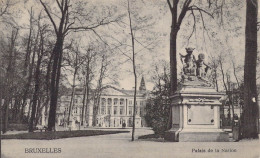 BELGIQUE - BRUXELLES - Palais De La Nation - Edit L Maes - Carte Poste Ancienne - Other & Unclassified