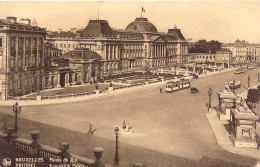 BELGIQUE - BRUXELLES - Palais Du Roi - Carte Poste Ancienne - Sonstige & Ohne Zuordnung