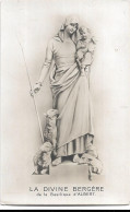 Delcampe - 80  Albert - La  Divine Bergere - Albert