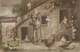 Bébés Poilus La Ferme Aux Bébés Surrealisme Montage Repopulation Chou Coq Pot De Chambre - Cartes Humoristiques