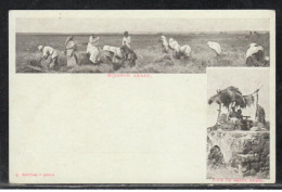 Delcampe - Palestine Postcard By J. KATTAN - JAFFA Native Arab Life Folded Lower Left Side - HOLY LAND - Palästina