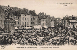 FR-48 LOZÈRE - CHÂTEAUNEUF-de-RANDON - La Foire Aux Bêtes à Cornes - Chateauneuf De Randon