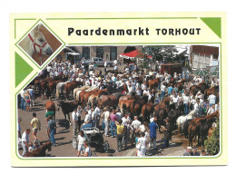 Torhout Paardenmarkt Foto Prentkaart Horse Cheval Market Htje - Torhout