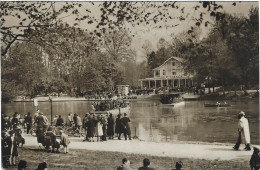 Bruxelles Le Lac Du Bois De La Cambre 1959 Animée - Forêts, Parcs, Jardins