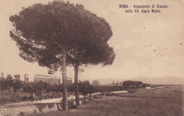 Italy - Roma Acquedotto Di Claudio Sulla Via Appia Nuova - Posted 1913 To Germany - Parchi & Giardini