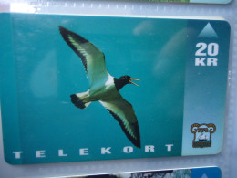 FAROE ISLAND USED CARDS BIRDS BIRD - Faeroër