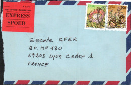 AFRIQUE DU SUD AFFRANCHISSEMENT COMPOSE SUR LETTRE EXPRES POUR LA FRANCE 1979 - Cartas & Documentos