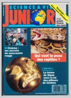 Revue SCIENCE & VIE JUNIOR N° 18 Septembre 1990 Le Trésor De Sipan Sous La Loi Des Pilleurs De Tombes   Cinéma: Les * - Ciencia
