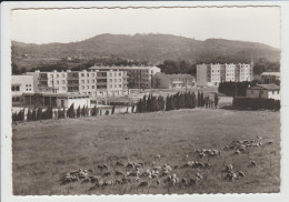 Delcampe - BRIGNOLES - VAR - L'ECOLE ET LE TERRAIN DE SPORTS - TROUPEAU DE MOUTONS - Brignoles