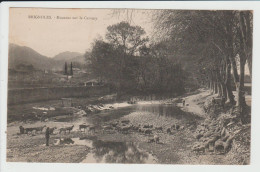 Delcampe - BRIGNOLES - VAR - MOUTONS SUR LE CARAMY - BERGER - Brignoles