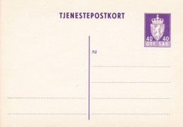 Norwegen Dienstpostkarte DP31 Tjenestepostkort Ungelaufen - Ganzsachen