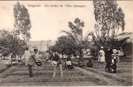 ANGOLA - BENGUELA - Um Trecho Da Villa Casseque - Angola