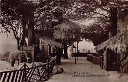 ANGLETERRE - Londres - Scene In African Section - Coronation Exhibition 1911 - Carte Postale Ancienne - Autres & Non Classés