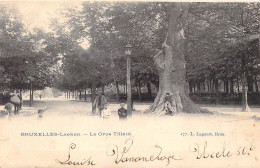 BELGIQUE - BRUXELLES - Le Gros Tilleul - L Lagaert - Carte Postale Ancienne - Otros & Sin Clasificación