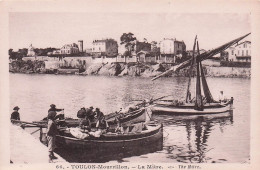 Toulon - Mourillon - La Mitre - Barque De Peche - CPA °J - Toulon