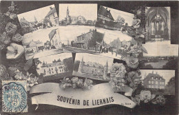 FRANCE - 21 - Souvenir De Liernais - Carte Postale Ancienne - Andere & Zonder Classificatie