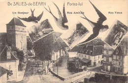 FRANCE - 64 - De Salies-de-Béarn - Portez-lui Un Bonjour, Mes Amitiés, Mes Vœux - Carte Postale Ancienne - Salies De Bearn