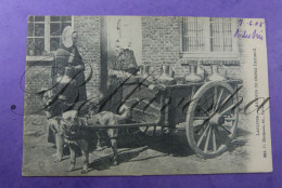 Laitier Chien Flamande . Trekhond -Vlaamse Mastiff Attelage 1908 Petit Metier - Vendedores Ambulantes