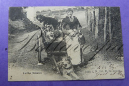 Laitieres Chien Flamandes . Edit E.G.. Serie 2 N° 150 Trekhond -Vlaamse Mastiff Attelage 1905 Petit Metier - Venters