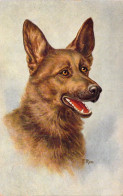 CHIENS - Illustration F Row - Carte Postale Ancienne - Chiens