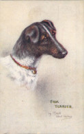 CHIENS - Fox Terrier - Illustration Maud West Watson - Carte Postale Ancienne - Dogs