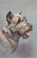 CHIENS - PINSCHER - Illustration J RIRET - Carte Postale Ancienne - Dogs