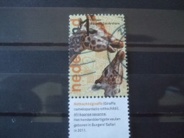 Nederland Gebruikt Nvph Nr 3030 Met Tab Burgerszoo  - Used Stamps