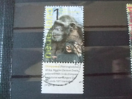 Nederland Gebruikt Nvph Nr 3037 Met Tab Burgerszoo  Chimpansee - Used Stamps