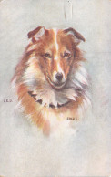 CHIENS - Collie Dog - Illustration LED - Carte Postale Ancienne - Perros