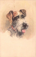 CHIENS - Chasse - Illustration AD? - Carte Postale Ancienne - Chiens