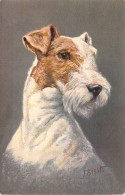 CHIENS - Fox Terrier - Illustration J RUIST - Carte Postale Ancienne - Perros