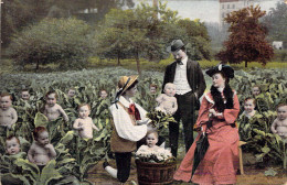 FANTAISIE - Bébés Dans Les Choux - Couple Venant Chercher Un Enfant - Carte Postale Ancienne - Bébés