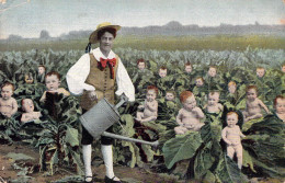 FANTAISIE - Bébés Au Jardin - Jardinier Arrose Les Choux - Carte Postale Ancienne - Bébés